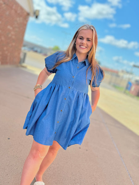 Dorothy's Denim Dress